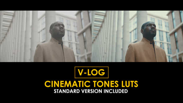 Vlog Cinematic Tones And Standard Luts - VideoHive 51363712