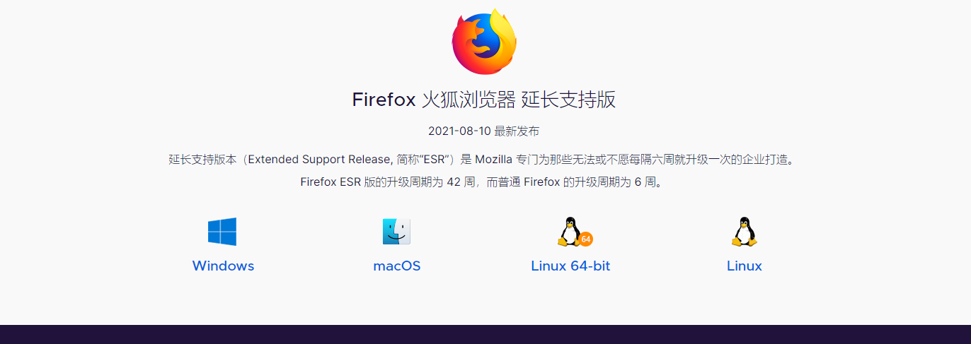 image-20210815101511993.png