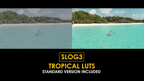 Slog3 Tropical And Standard Luts - VideoHive 50922042