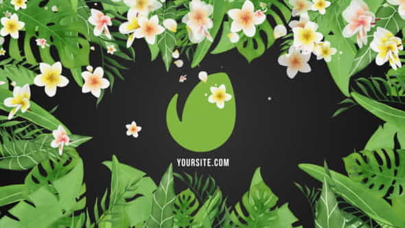 Tropical Vibes Logo Reveal - VideoHive 31125146