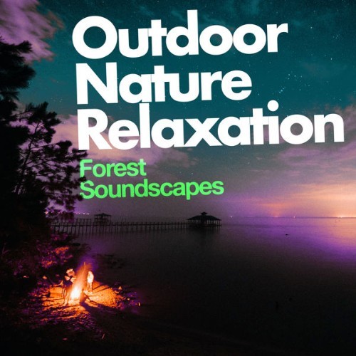 Forest Soundscapes - Outdoor Nature Relaxation - 2019