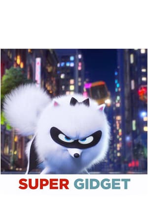 Super Gidget 2019 1080p BluRay x264-FLAME