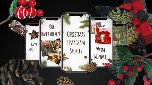 Christmas Instagram Stories - VideoHive 29480659