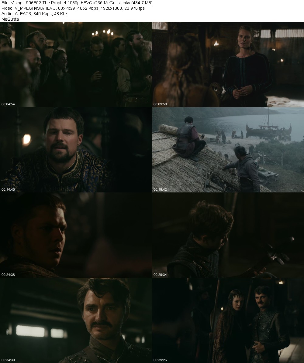 Vikings S06E02 The Prophet 1080p HEVC x265-MeGusta