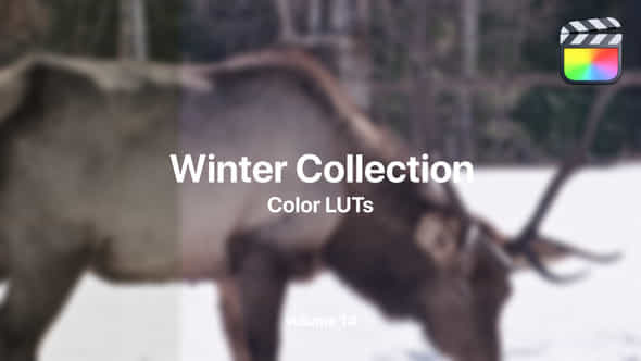 Winter Luts Collection Vol 14 - VideoHive 50022437