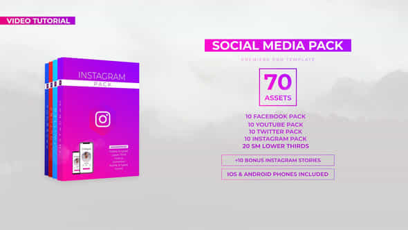 Social Media Pack - VideoHive 22584243