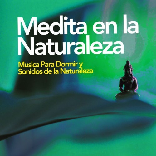 Musica Para Dormir y Sonidos de la Naturaleza - Medita en la Naturaleza - 2019