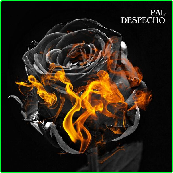 Various Artists - Pal Despecho (2024) [320 Kbps] C47uTWkm_o