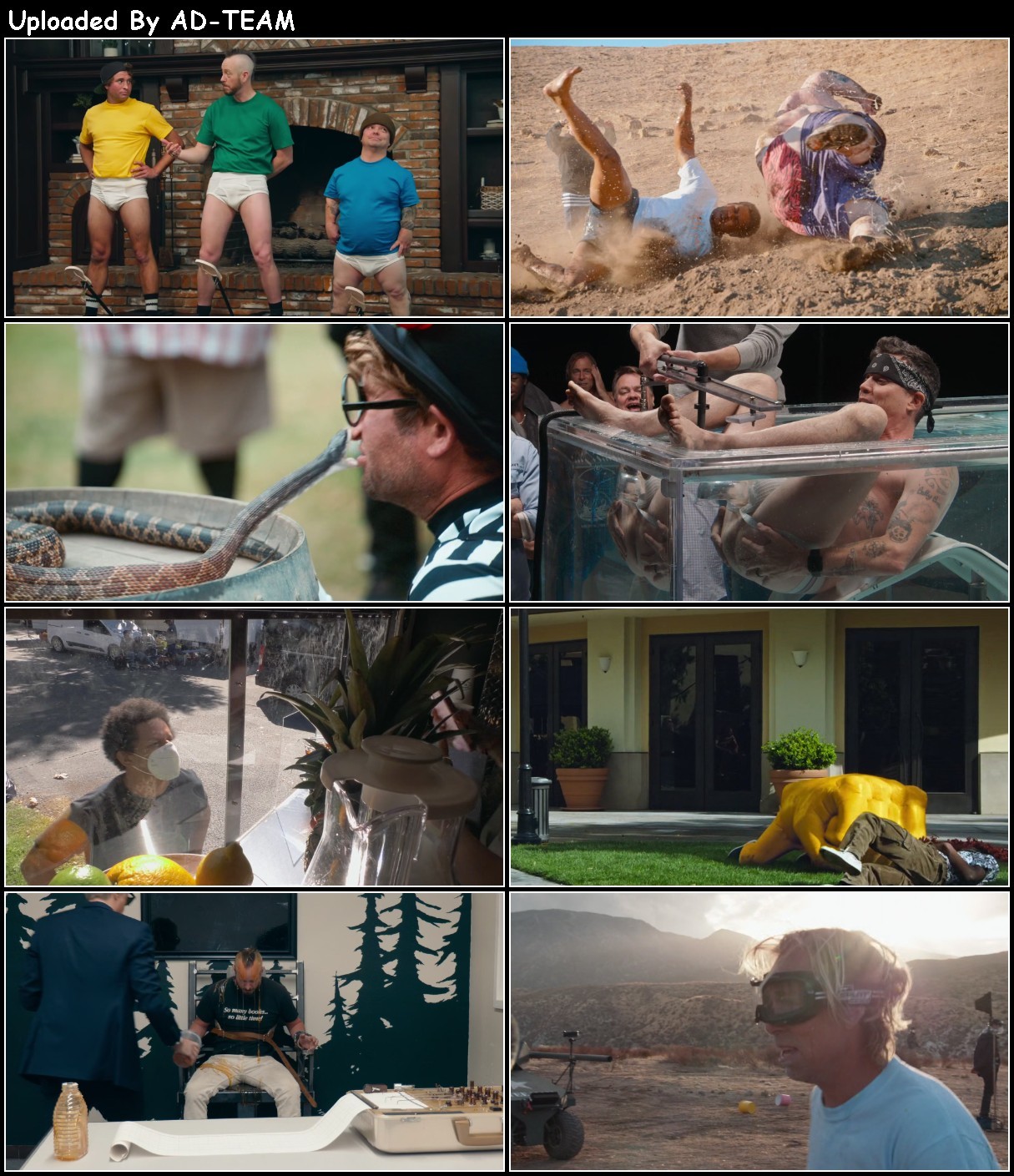 Jackass Forever 2022 1080p WEBRip x265-RARBG CbFA3XTl_o