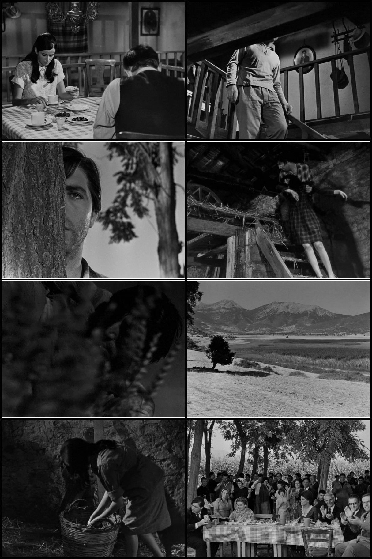 The Fear (1966) 720p BluRay [YTS] ZG939pP1_o