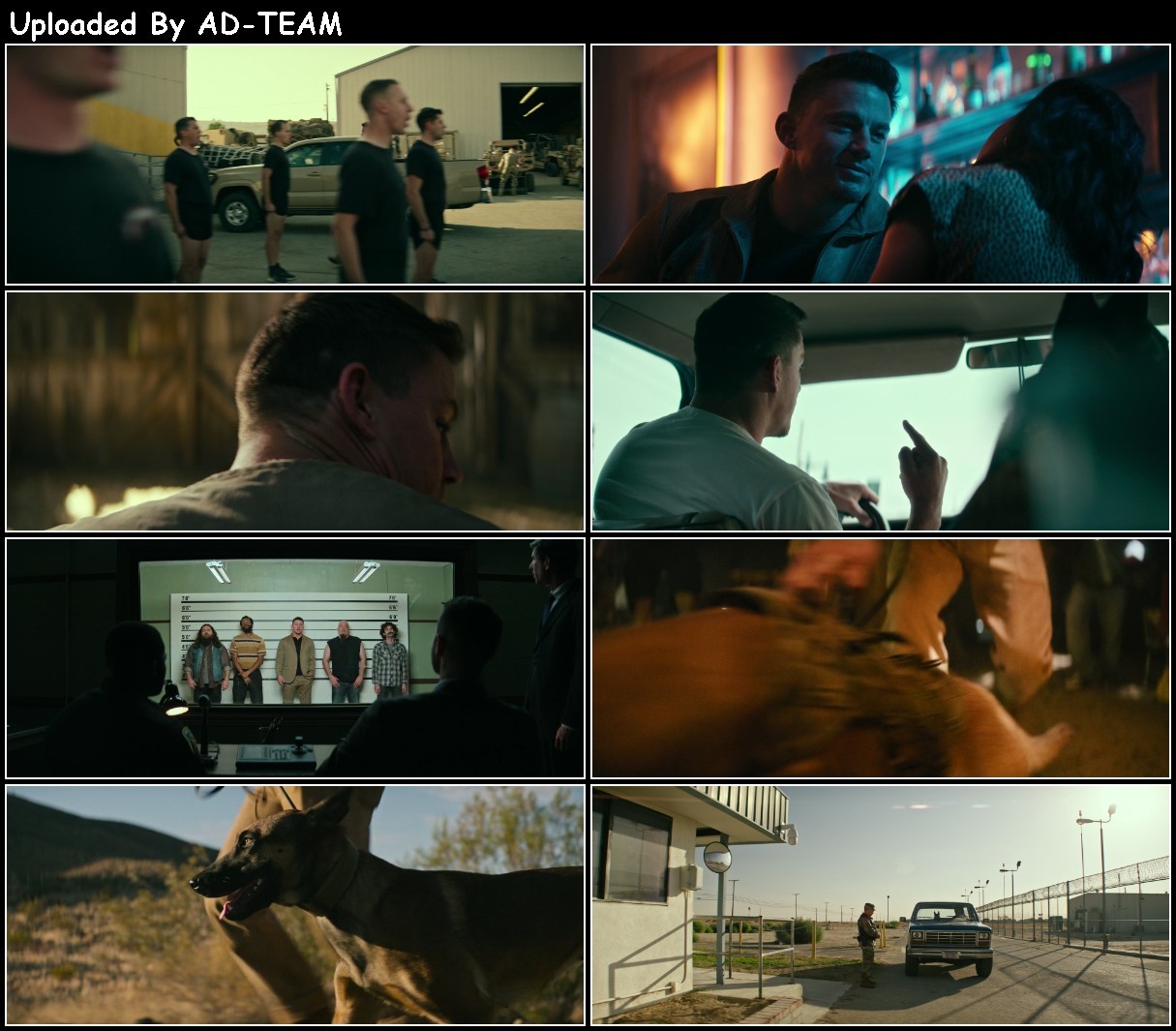 Dog 2022 1080p WEBRip x265-RARBG 7MtSm7oY_o