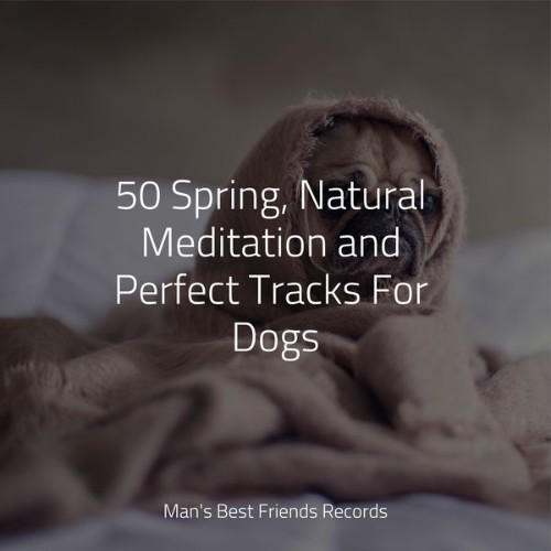 Music for Leaving Dogs Home Alone - 50 Spring, Natural Meditation and Perfect Tracks For Dogs - 2022