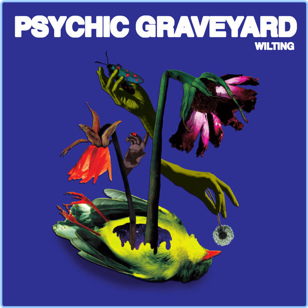 Psychic Graveyard Wilting (2024) 24Bit 44 1kHz [FLAC] 5mx9XVLh_o