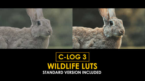 Clog3 Wildlife And Standard Luts - VideoHive 50923536