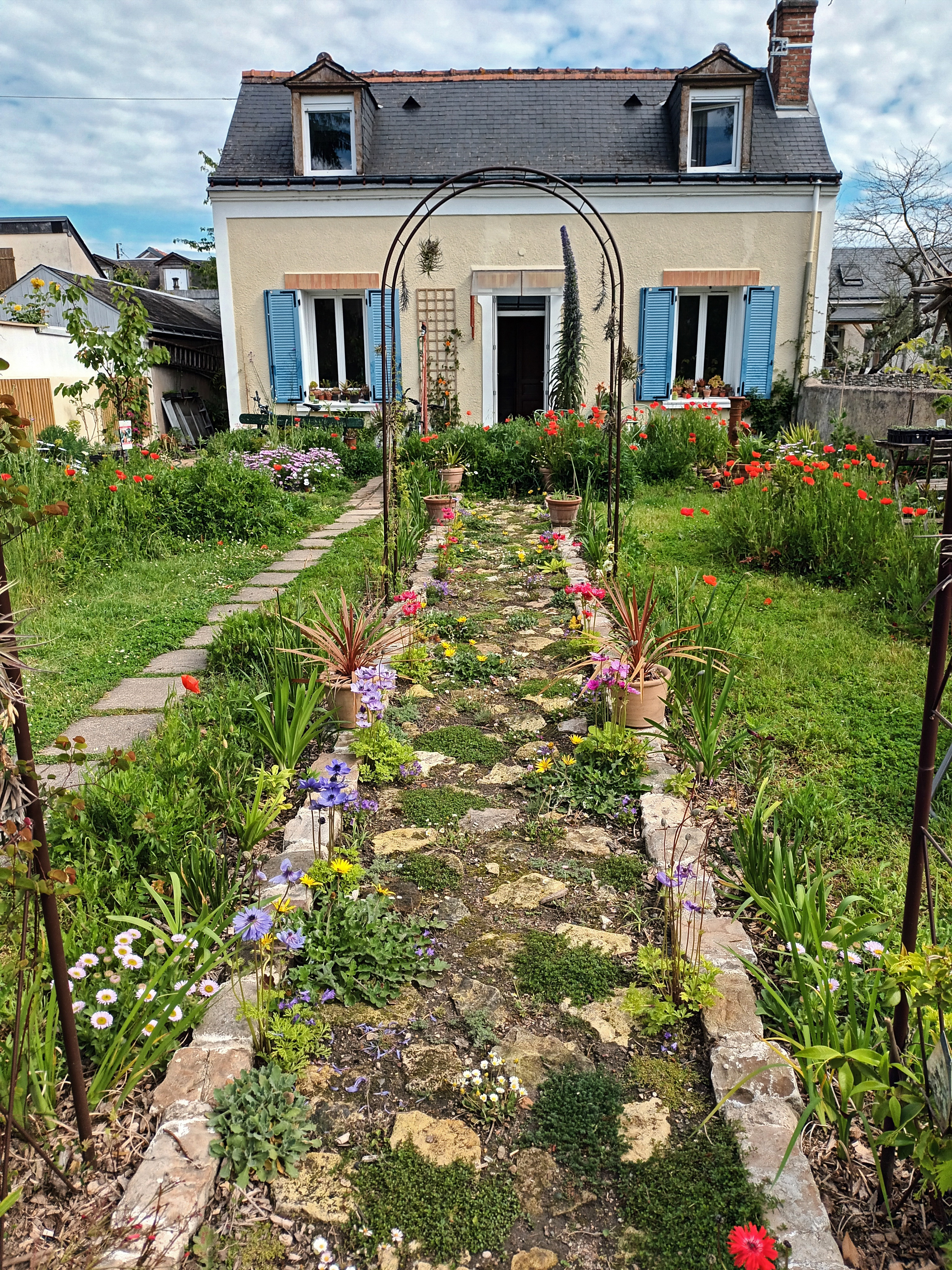 Ptivince - Nouvelle Page - Le jardin de Saint-Pierre - Page 3 KXjCgvZK_o
