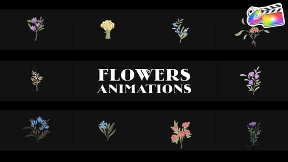 Flowers Falling Into Petals Animations For Fcpx - VideoHive 52200681