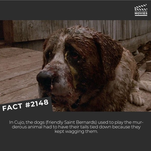 MOVIE FACTS RxU5IYLz_o