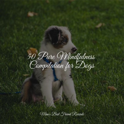 Sleeping Music For Dogs - 50 Pure Mindfulness Compilation for Dogs - 2022