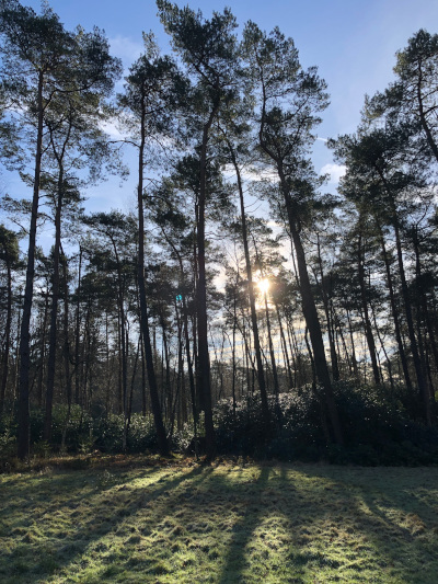 nature walk last weekend