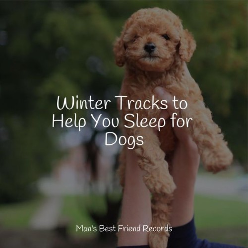 Music for Pets Library - Winter Tracks to Help You Sleep for Dogs - 2022