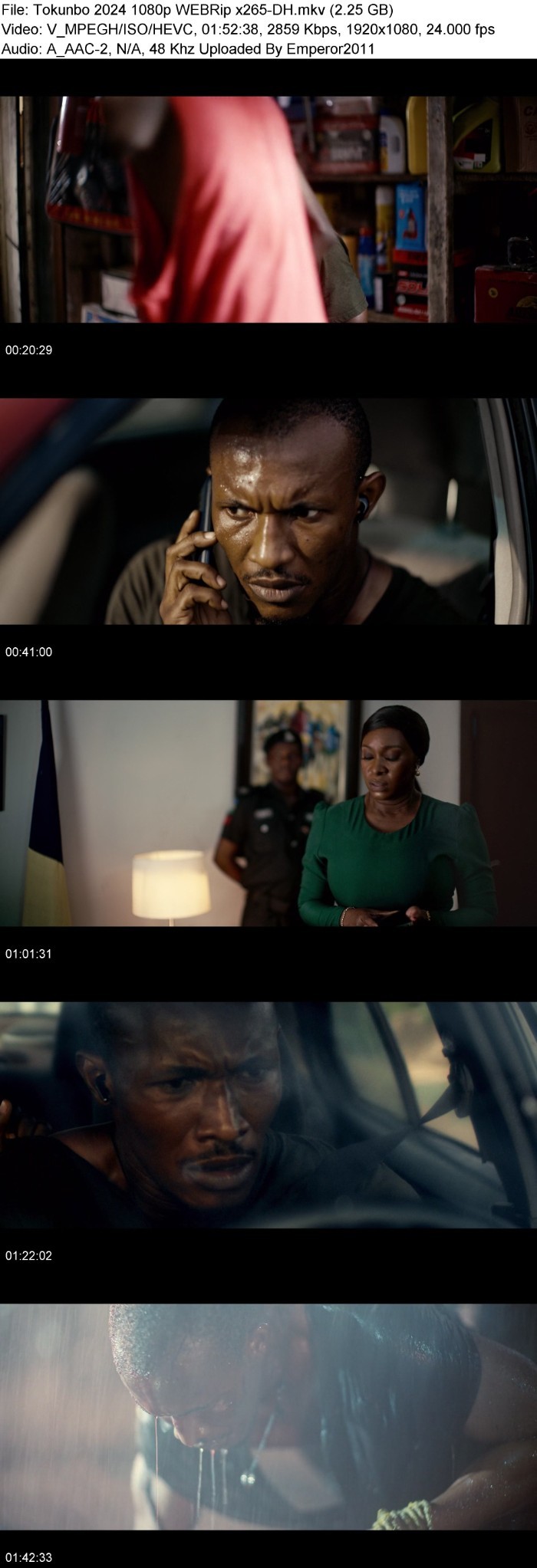 Tokunbo (2024) 1080p WEBRip x265-DH UPLu3u1i_o