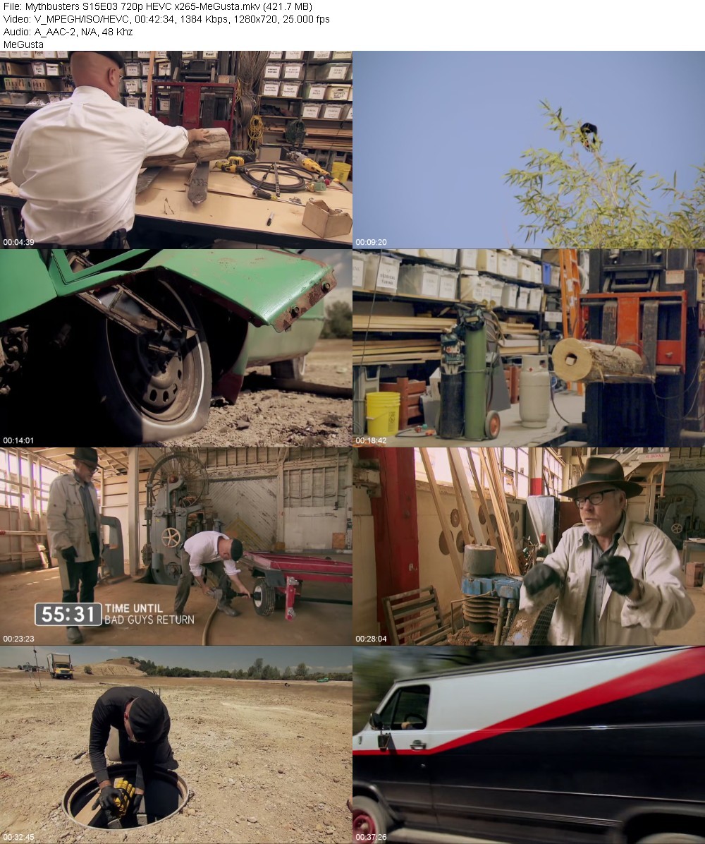 Mythbusters S15E03 720p HEVC x265-MeGusta