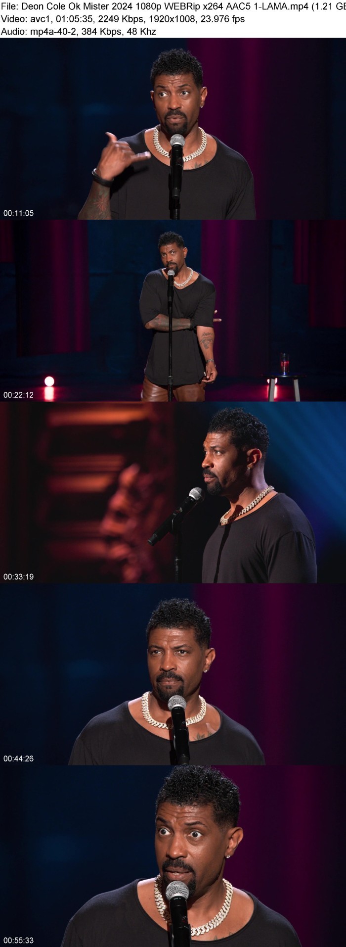 Deon Cole Ok Mister (2024) 1080p WEBRip 5 1-LAMA TMdCDAKK_o