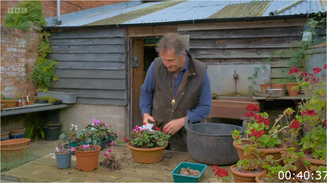 Gardeners' World S57E25 (2024) [720p] 69ZmrTkd_o