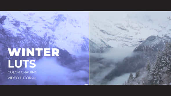 Winter LUTs - VideoHive 43395596