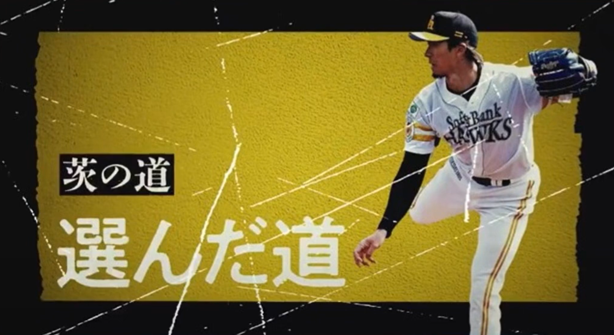 ハム専 YouTube動画>3本 ->画像>5枚 