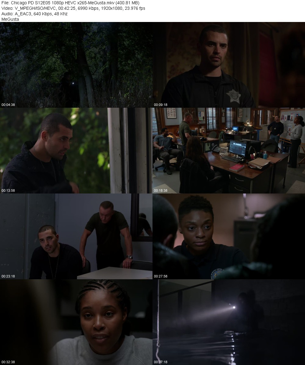 Chicago PD S12E05 1080p HEVC x265-MeGusta