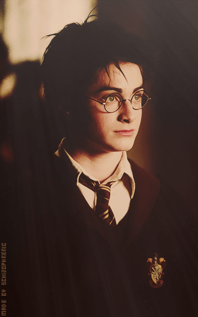 Harry Potter SrMTF3d8_o