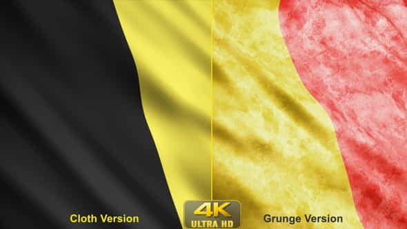 Belgium Flags - VideoHive 24630567