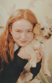 Sadie Sink Zf7OEXiu_o