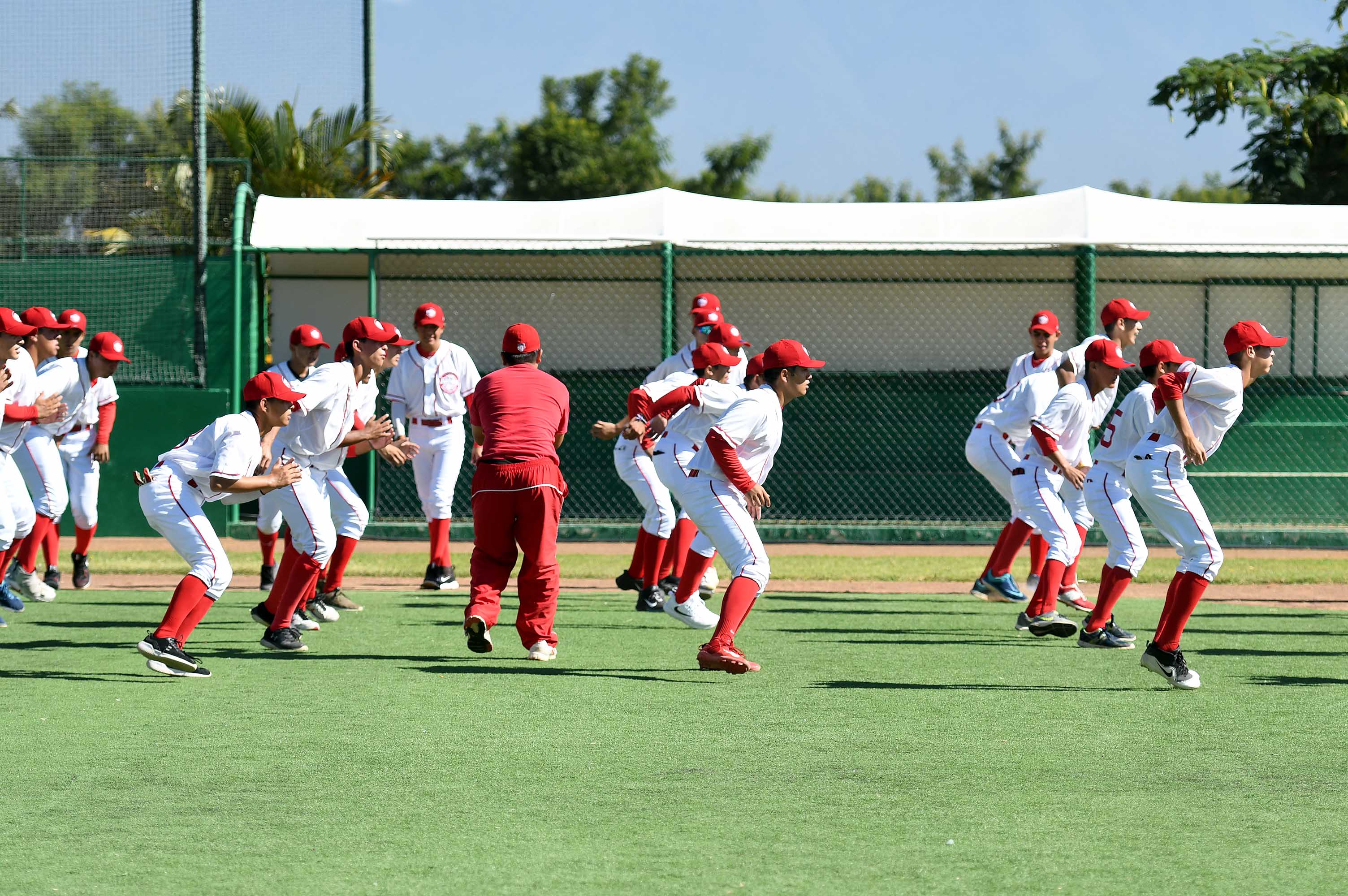 Academia Harp Helú: ¿Qué jugadores del Tricolor de beisbol se formaron en  México? – El Financiero