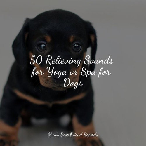 Calming Music for Dogs - 50 Relieving Sounds for Yoga or Spa for Dogs - 2022