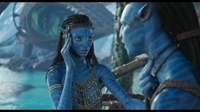 :   / Avatar: The Way of Water (2022/WEB-DL/WEB-DLRip)