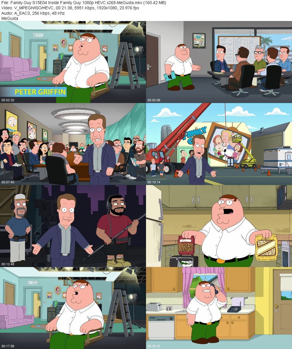 Family Guy S15E04 Inside Family Guy 1080p HEVC x265-MeGusta