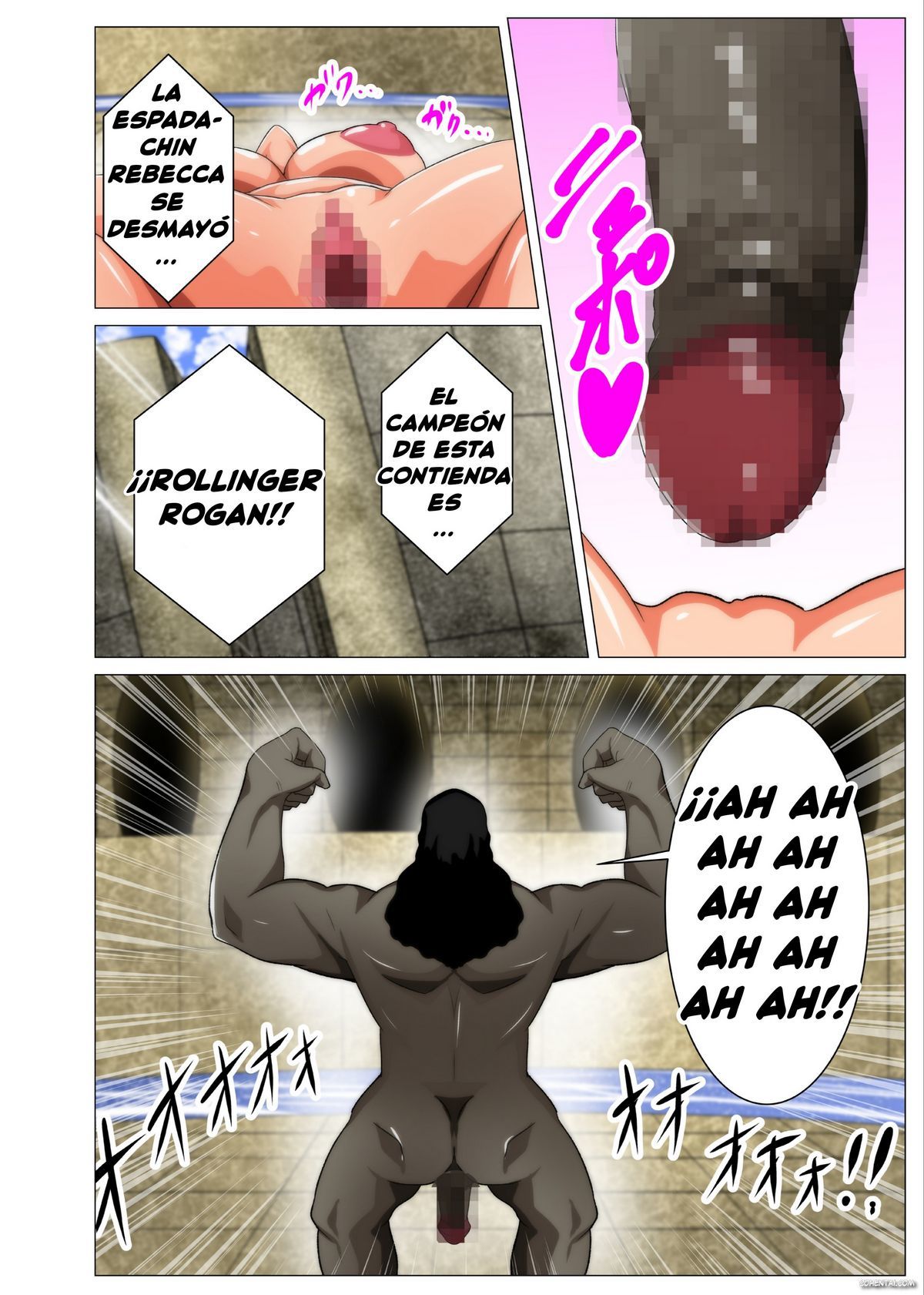 https://cohentai.com/onna-kentoushi-no-shakuhou-o-kaketa-chousen-one-piece-espanol