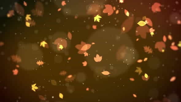 Autumn Leaf Background - VideoHive 33668330