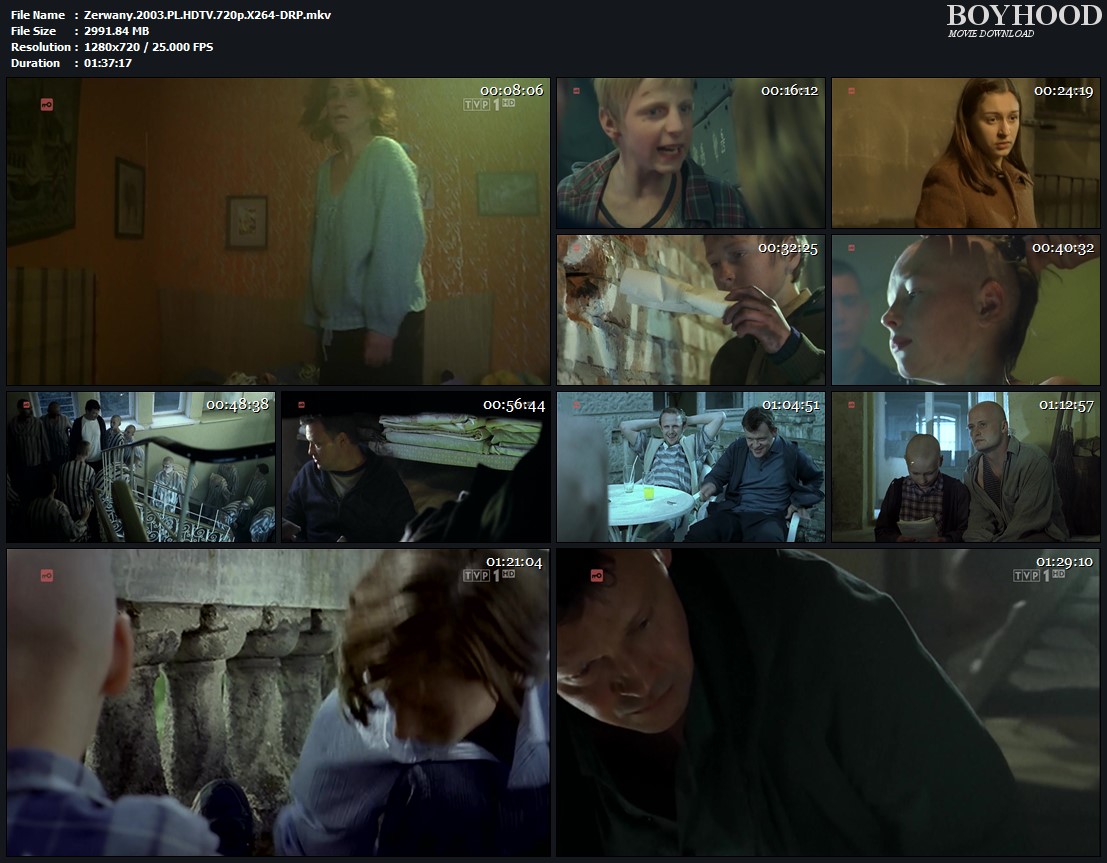 Zerwany 2003 HDTV 720p