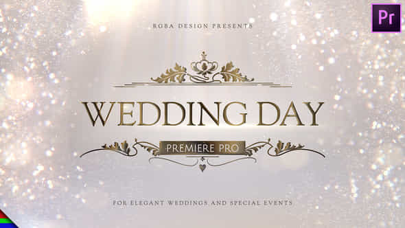 Wedding - VideoHive 44855475