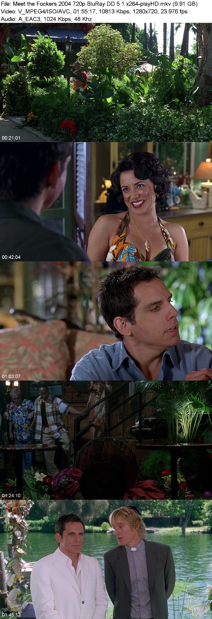 Meet the Fockers (2004) 720p BluRay DD 5 1 x264-playHD LRZNoniu_o