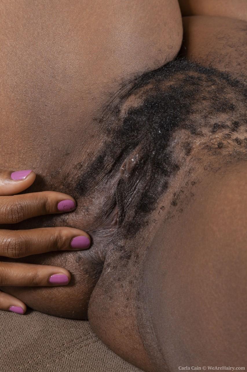 Gorgeous ebony amateur Carla Cain spreads her exotic hairy pussy up close(19)