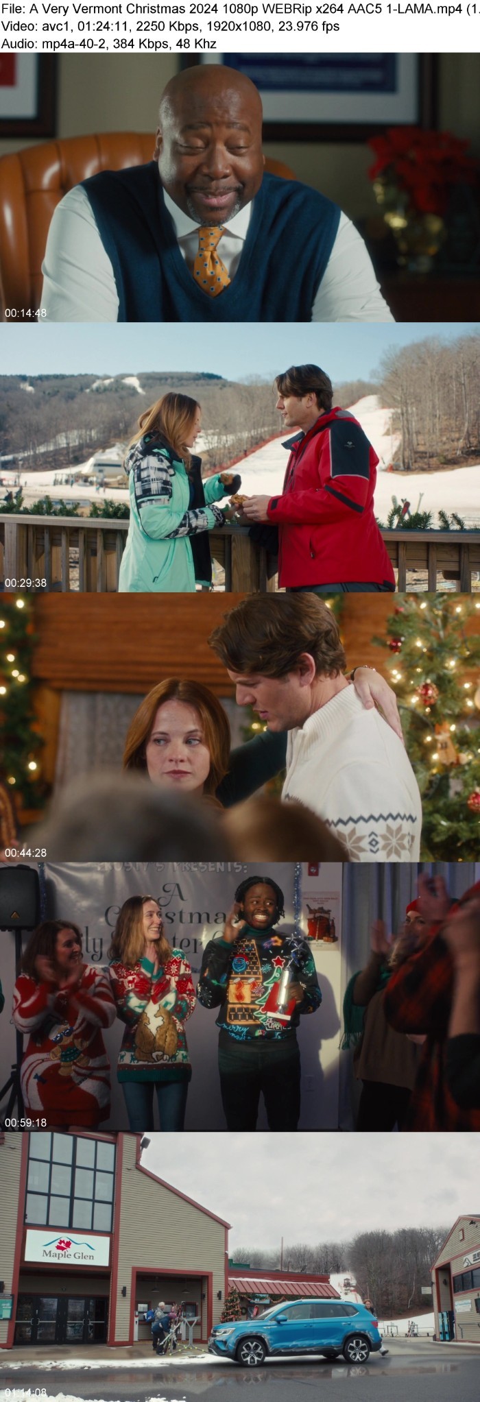 A Very Vermont Christmas (2024) 1080p WEBRip 5 1-LAMA EvIIdTTJ_o