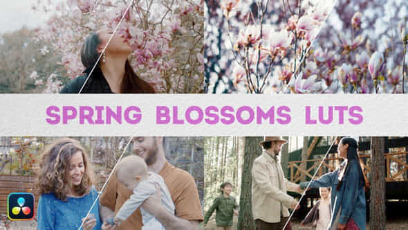 Spring Blossoms Luts Davinci Resolve - VideoHive 49777585