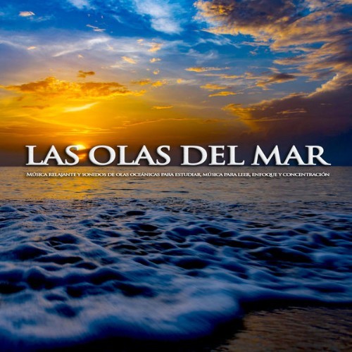 Música Para Leer - Las olas del mar Música relajante y sonidos de olas oceánicas para estudiar, m...