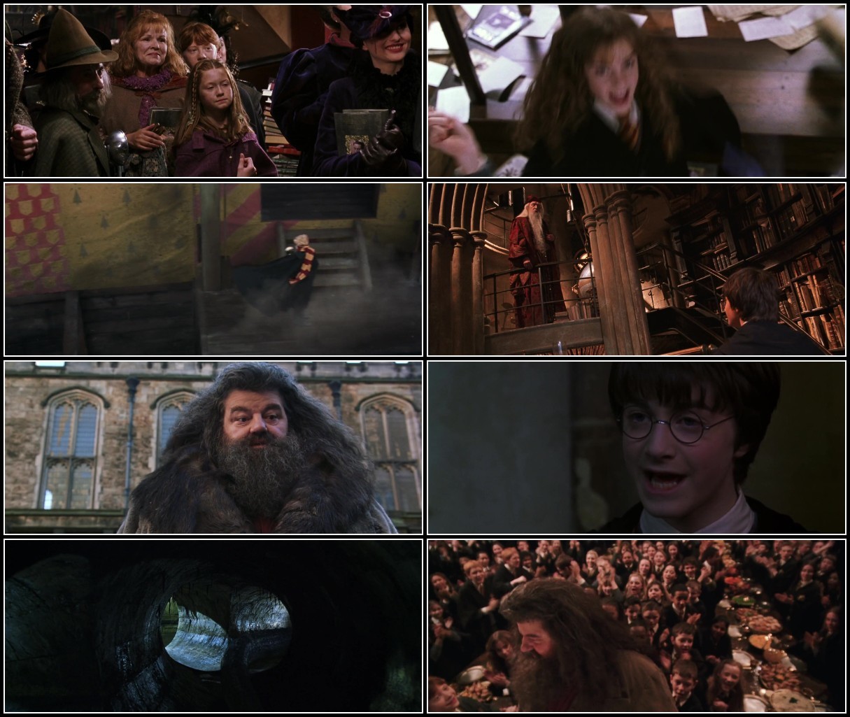 Harry Potter and The Chamber of Secrets (2002) ENG 720p HD WEBRip 2 01GiB AAC x264... N0HzwTg4_o