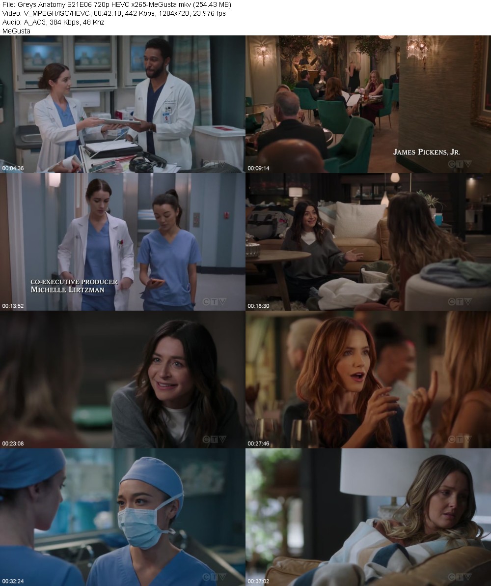 Greys Anatomy S21E06 720p HEVC x265-MeGusta