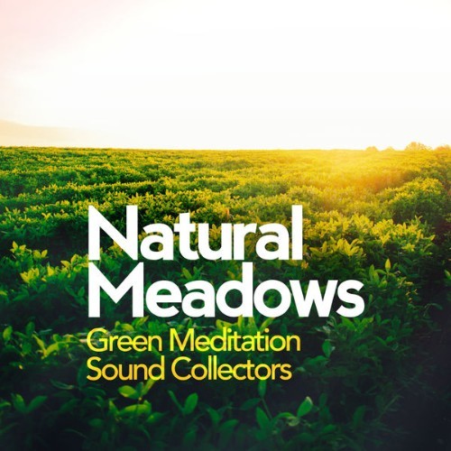 Green Meditation Sound Collectors - Natural Meadows - 2019